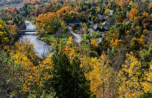 homes for sale in Glen Williams Georgetown